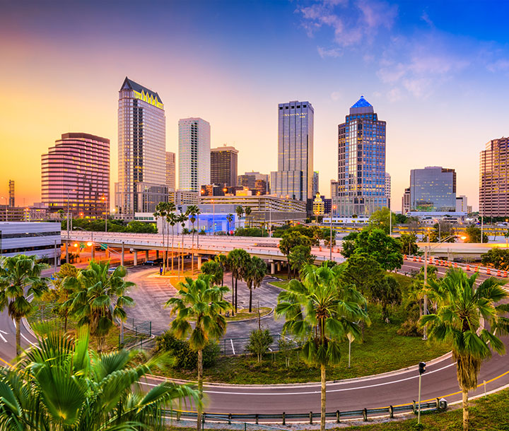 Tampa Relevant Info